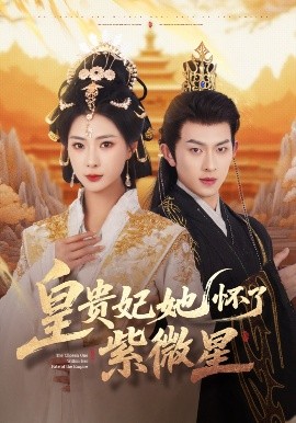 皇贵妃她怀了紫薇星