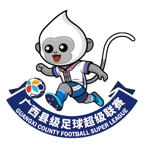广西县级足球超级联赛贵港市港南区队1.1贵港市桂平市队20260117