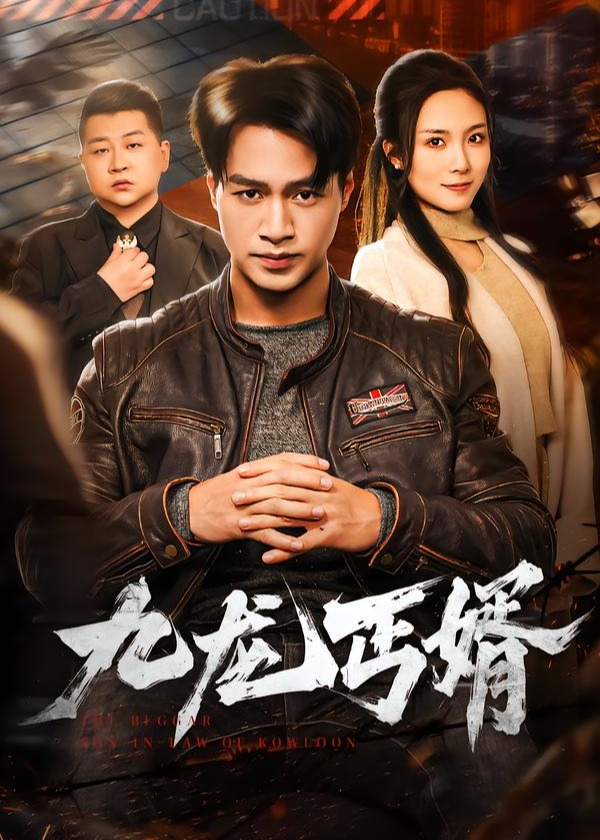 九龙丐婿