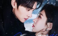 雪落时逢你